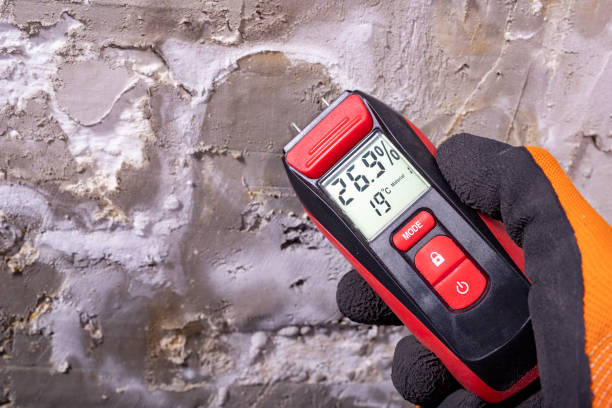 Best Professional Mold Removal  in Vandalia, IL